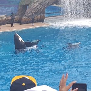 Meet your Posher, Toya